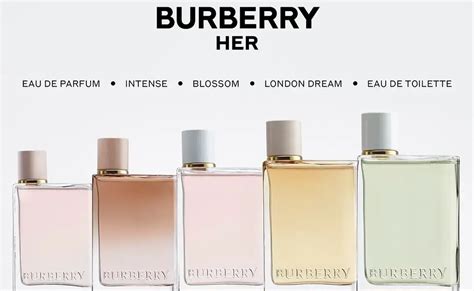 burberry her edt 50 ml|burberry her perfume release date.